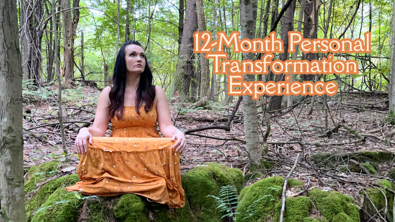 12-Month Personal Transformation Experience